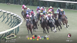 2024 Diamond Stakes (G3) | T O Royal | JRA Official