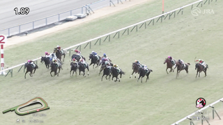 2024 Diamond Stakes (G3) | T O Royal | JRA Official