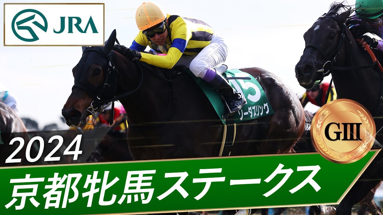 2024 Diamond Stakes (G3) | T O Royal | JRA Official