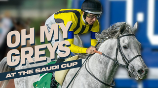 Great Greys! Silver stars at The Saudi Cup!