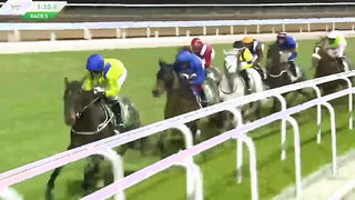 Great Greys! Silver stars at The Saudi Cup!