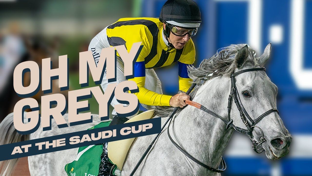 Great Greys! Silver stars at The Saudi Cup!