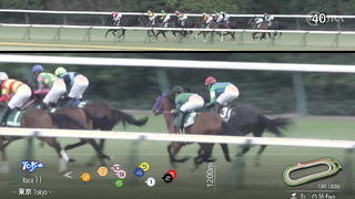 2024 KyoDo News Cup (G3) | Justin Milano | JRA Official