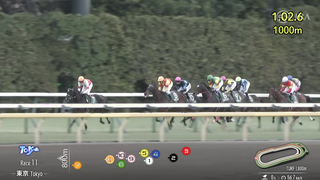 2024 KyoDo News Cup (G3) | Justin Milano | JRA Official