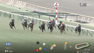 2024 KyoDo News Cup (G3) | Justin Milano | JRA Official