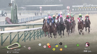 2024 Kyoto Kinen (G2) | Pradaria | JRA Official