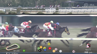 2024 Kyoto Kinen (G2) | Pradaria | JRA Official