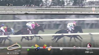 2024 Kyoto Kinen (G2) | Pradaria | JRA Official