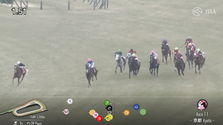 2024 Kyoto Kinen (G2) | Pradaria | JRA Official