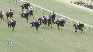 2024 Queen Cup (G3) | Queen's Walk | JRA Official