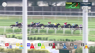 Stars of Sha Tin! - ALL Races from HKIR 2023 Including Golden Sixty & Romantic Warrior