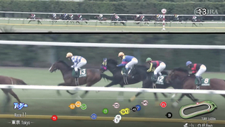 2024 Tokyo Shimbun Hai (G3) | Sakura Toujours | JRA Official