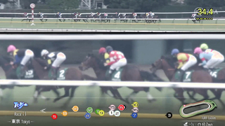2024 Tokyo Shimbun Hai (G3) | Sakura Toujours | JRA Official