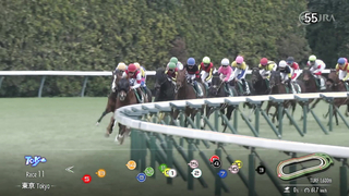 2024 Tokyo Shimbun Hai (G3) | Sakura Toujours | JRA Official