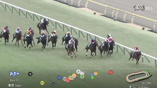 2024 Tokyo Shimbun Hai (G3) | Sakura Toujours | JRA Official