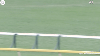 What A Champion! The World's Best Horse Equinox Wins The 2023 Japan Cup! イクイノックスジャパンカップ優勝!