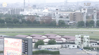 What A Champion! The World's Best Horse Equinox Wins The 2023 Japan Cup! イクイノックスジャパンカップ優勝!