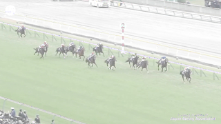 What A Champion! The World's Best Horse Equinox Wins The 2023 Japan Cup! イクイノックスジャパンカップ優勝!