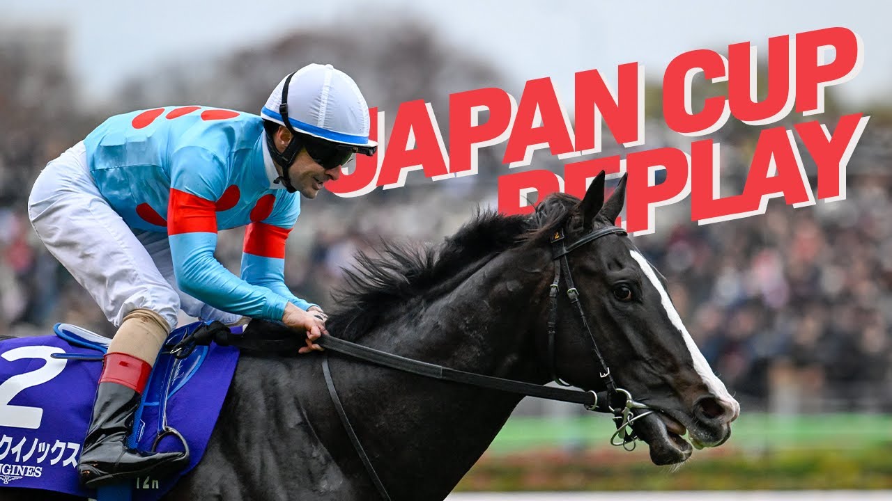 What A Champion! The World's Best Horse Equinox Wins The 2023 Japan Cup! イクイノックスジャパンカップ優勝!