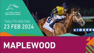 Race #9 – 23.02.24 – Longines Spirit Zulu Time Handicap