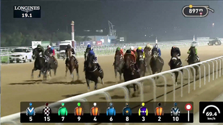 Race #8 – 23.02.24 – Longines Conquest Handicap