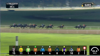 Race #8 – 23.02.24 – Longines Conquest Handicap