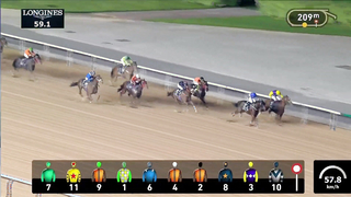 Race #8 – 23.02.24 – Longines Conquest Handicap