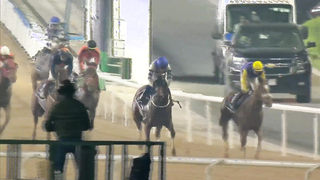 Race #8 – 23.02.24 – Longines Conquest Handicap