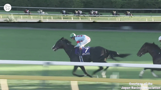 WORLD RECORD?!? The world's best horse EQUINOX shatters the global 2000m mark by almost a second!