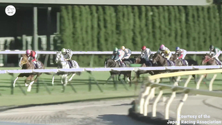 WORLD RECORD?!? The world's best horse EQUINOX shatters the global 2000m mark by almost a second!