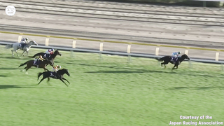 WORLD RECORD?!? The world's best horse EQUINOX shatters the global 2000m mark by almost a second!