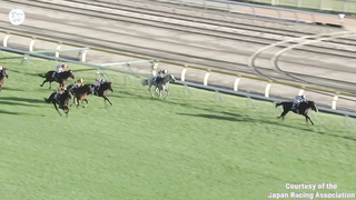 WORLD RECORD?!? The world's best horse EQUINOX shatters the global 2000m mark by almost a second!