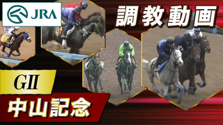 2024 Nakayama Kinen | JRA Official