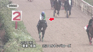 2024 Nakayama Kinen | JRA Official