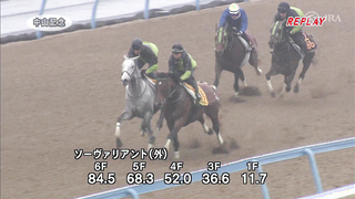 2024 Nakayama Kinen | JRA Official