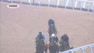 2024 Nakayama Kinen | JRA Official