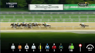 Race #6 – 23.02.24 – Longines Spirit Flyback Handicap