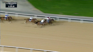 Race #6 – 23.02.24 – Longines Spirit Flyback Handicap