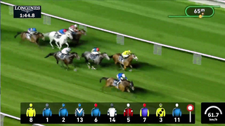 Race #5 – 23.02.24 – Singspiel Stakes Presented By Longines