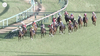 The World's Best Filly? All THREE G1 Wins For Japanese Star Liberty Island リバティアイランド!