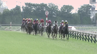The World's Best Filly? All THREE G1 Wins For Japanese Star Liberty Island リバティアイランド!