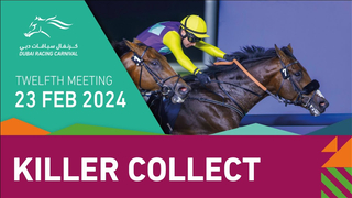 Race #4 – 23.02.24 – Al Bastakiya Presented By Longines