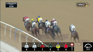 Race #2 – 23.02.24 – UAE Oaks Presented By Longines