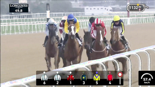 Race #2 – 23.02.24 – UAE Oaks Presented By Longines