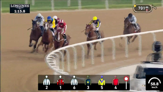 Race #2 – 23.02.24 – UAE Oaks Presented By Longines