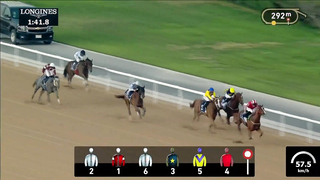 Race #2 – 23.02.24 – UAE Oaks Presented By Longines