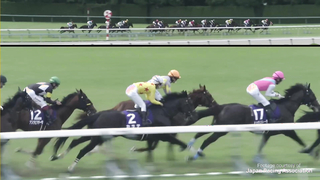 Ten of the Best Races of 2023