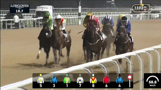 Race #8 – 16.02.24 – Land Rover Handicap