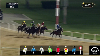 Race #8 – 16.02.24 – Land Rover Handicap