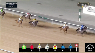 Race #8 – 16.02.24 – Land Rover Handicap